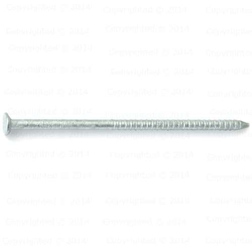 21/2" Wood Siding Nails