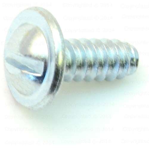 Hillman #14 X 5/8-in Slotted -Drive Standard License Plate Screws 2 -Count In The Specialty Screws Department At - Foto 7