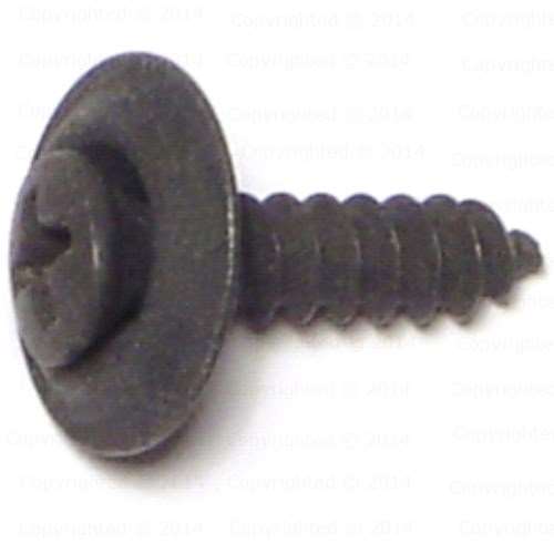 Black Phosphate Phillips Oval Head Trim Screws