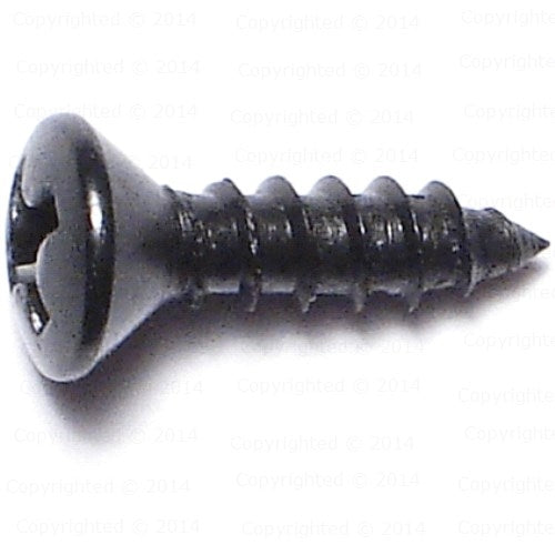 25 Viti Lamiera Testa Tonda Phillips Acciaio Inox Ossidato Nero - #6 X 3/8" - Albany County